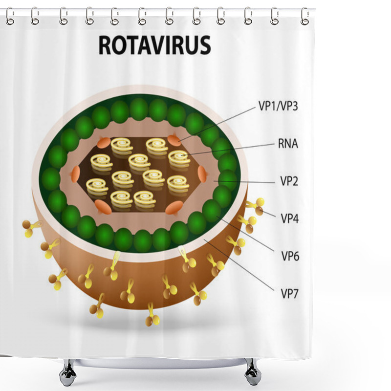 Personality  Rotavirus Virion Shower Curtains