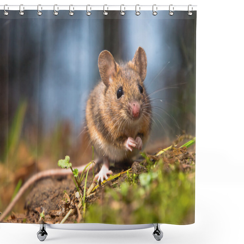 Personality  Wild Wood Mouse Shower Curtains