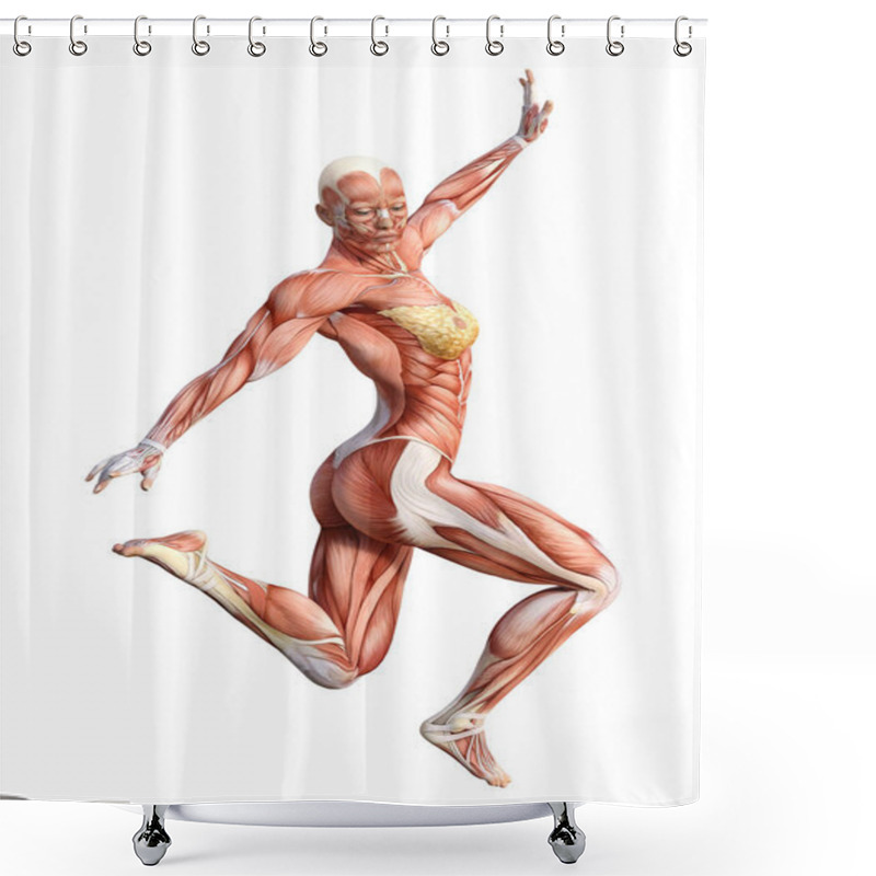 Personality  3D Rendering Female Anatomy Figure On White Shower Curtains