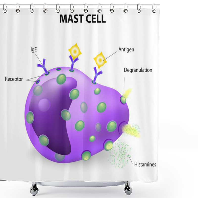 Personality  Mast Cell Or A Mastocyte, Labrocyte Shower Curtains