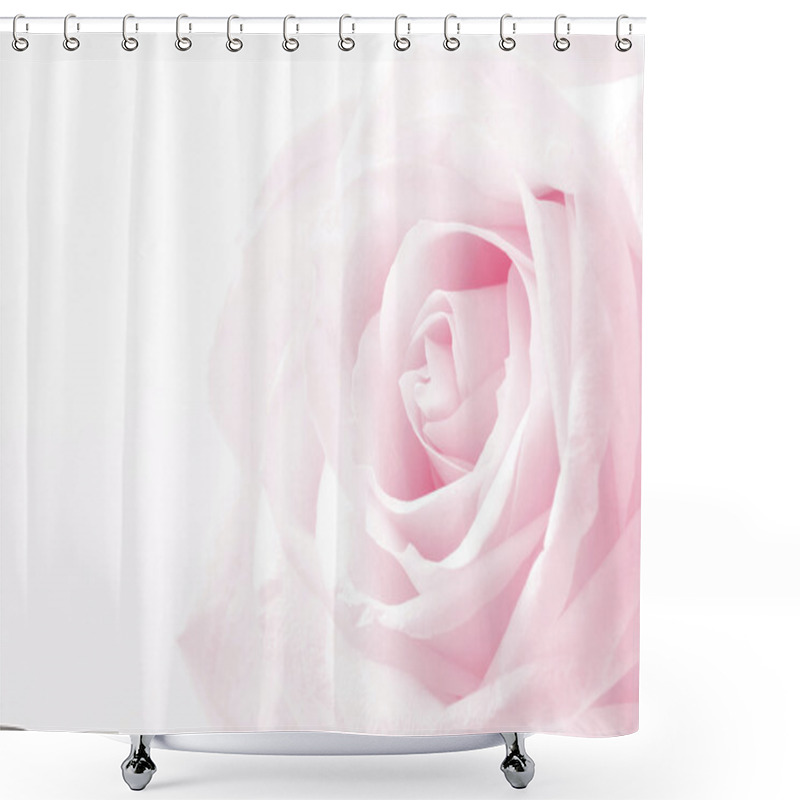 Personality  Pink Rose Close Up As Wedding Background. Soft Focus.  Shower Curtains