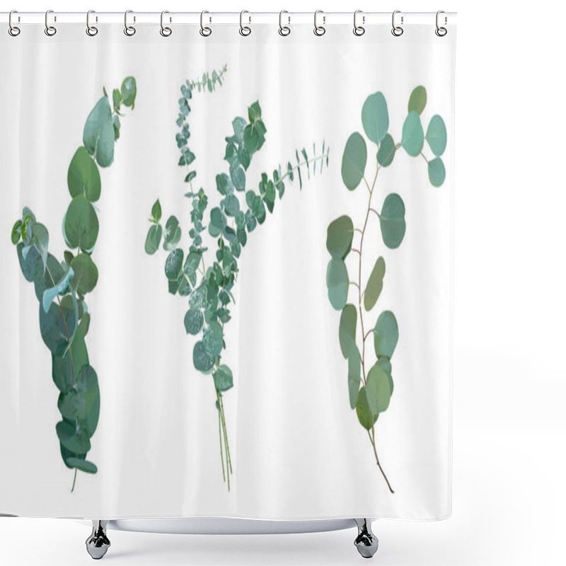 Personality  Baby Blue, Spiral And Silver Dollar Eucalyptus Species Selection Shower Curtains