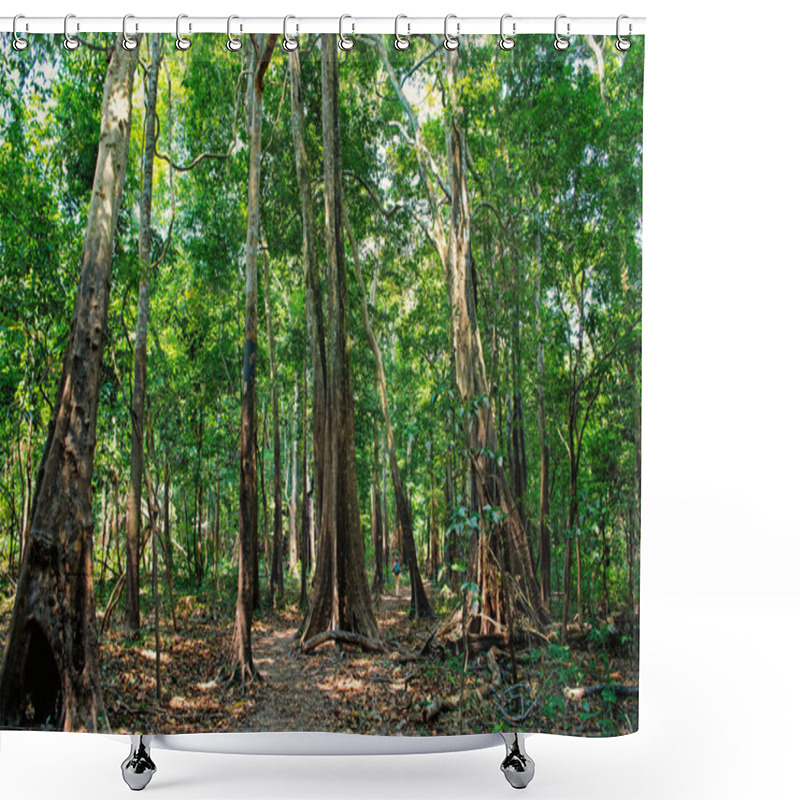 Personality  Tropical Rainforest In In Manaus, Brazil. Trees With Green Leaves In Jungle. Summer Forest On Natural Landscape. Nature Environment And Ecology Concept Shower Curtains