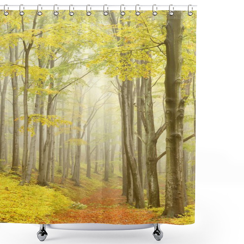 Personality  Picturesque Beech Forest Shower Curtains