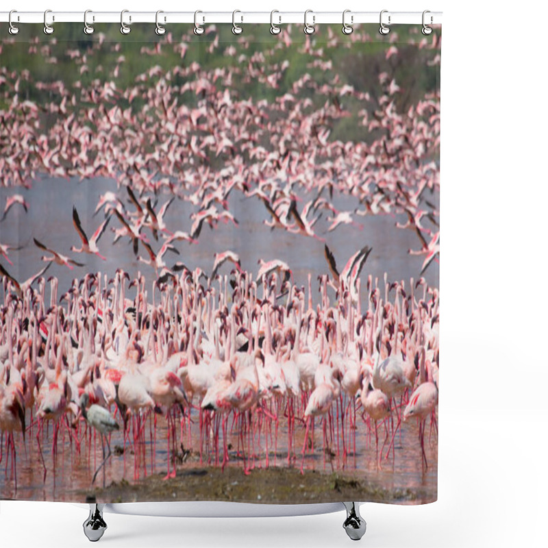 Personality  Kenya. Africa. Nakuru National Park. Lake Bogoria National Reserve. Wild Flamingos Shower Curtains