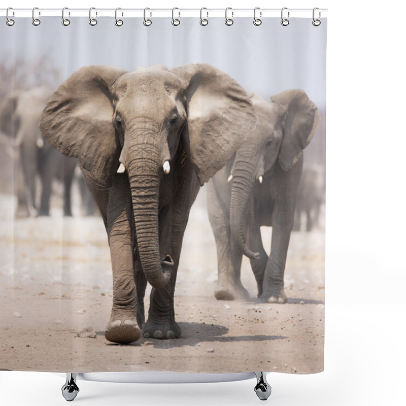 Personality  Elephant Herd Shower Curtains