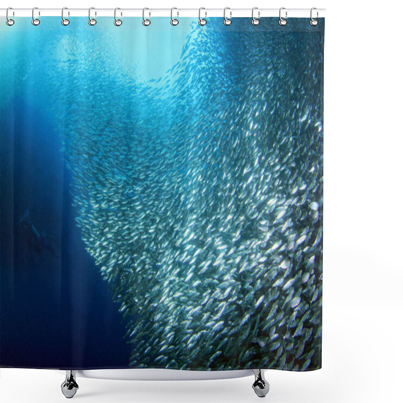 Personality  Sardine Run In Moalboal. Cebu, Philippines Shower Curtains