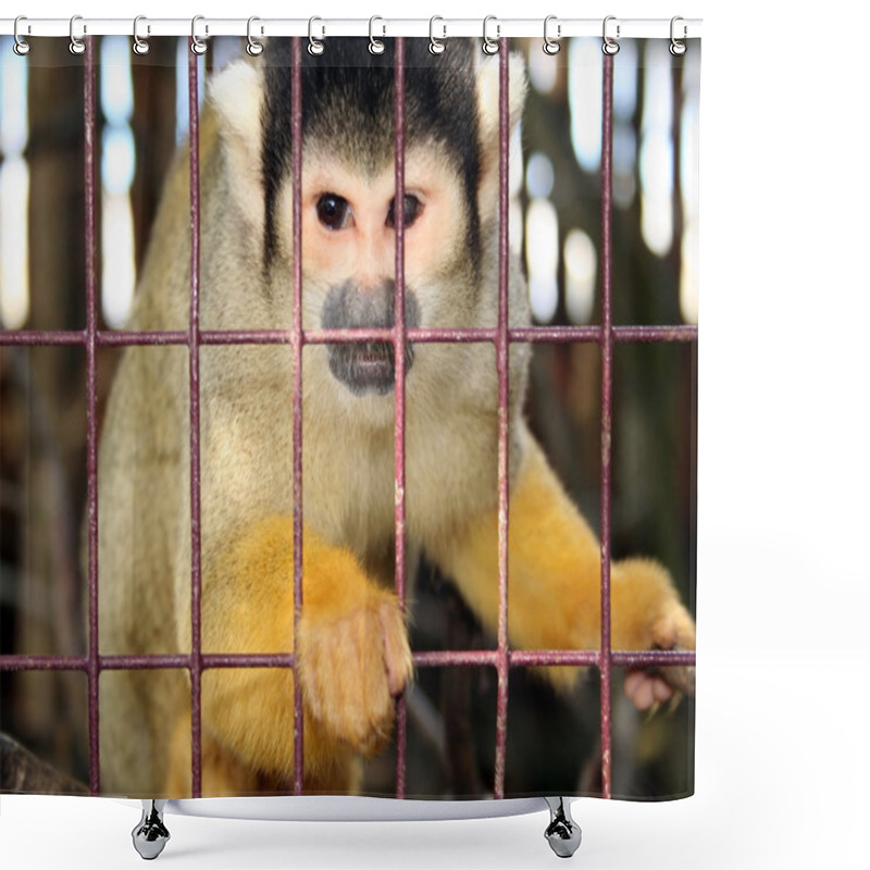 Personality  Monkey Zoo Laboratory Cage Shower Curtains