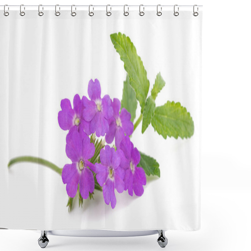 Personality  Pink Vervain Flowers Isolated On White Background Shower Curtains