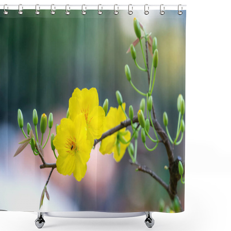 Personality  Yellow Apricot Flowers Blooming Branches Fragrant Petals Signaling Spring Has Come, This Is The Symbolic Flower For Good Luck In 2022 Shower Curtains