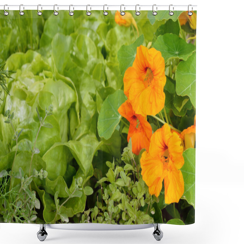 Personality  Edible Plants In An Organic Garden. Shower Curtains