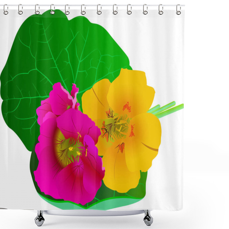 Personality  Nasturtium Flowers Isolated On White Background Shower Curtains