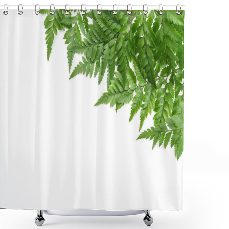 Personality  Tropical Leaves Isolated On White Background Shower Curtains