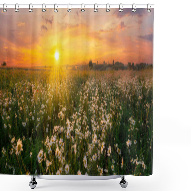 Personality  Beautiful Summer Sunrise Over Wild Daisy Flowers Meadow Shower Curtains