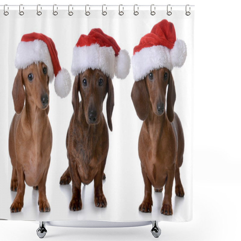 Personality  Christmas Dogs Shower Curtains