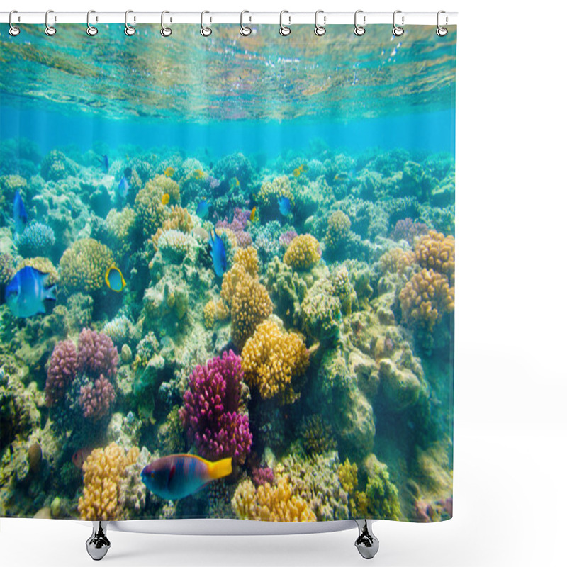 Personality  Tropical Coral Reef. Red Sea Shower Curtains