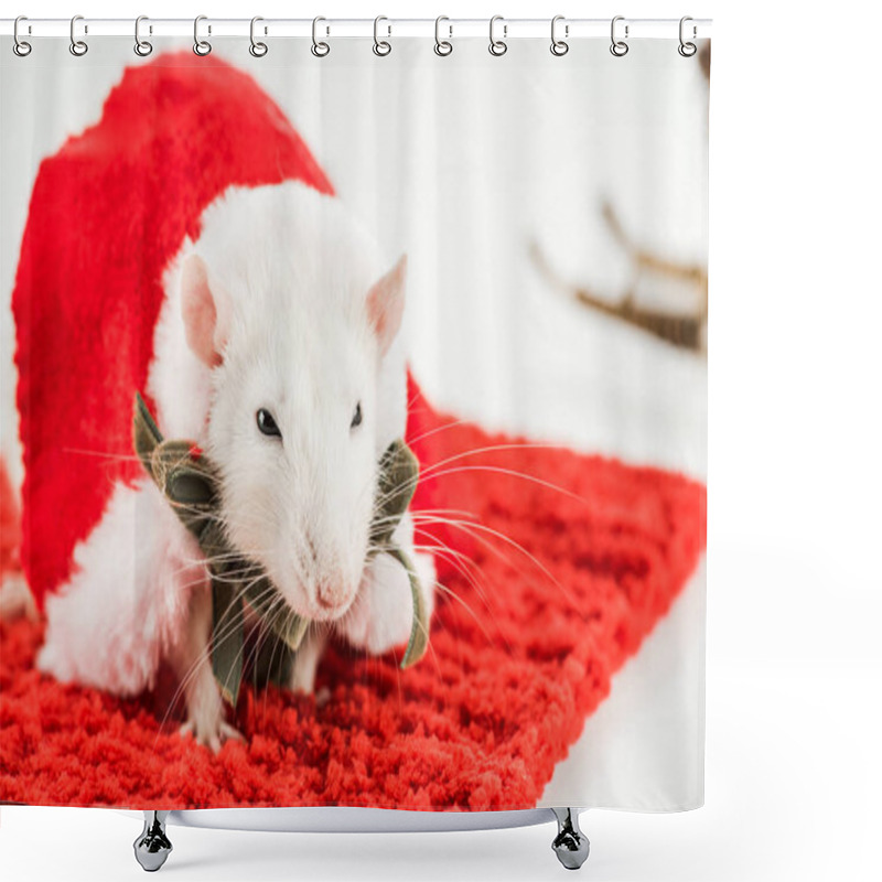 Personality  Selective Focus Of Rat In Costume On Red Carpet In New Year  Shower Curtains