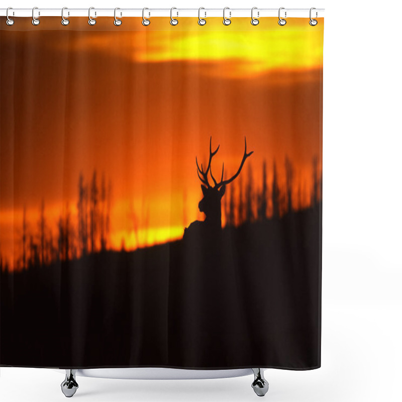 Personality  Bull Elk In Sunset Shower Curtains