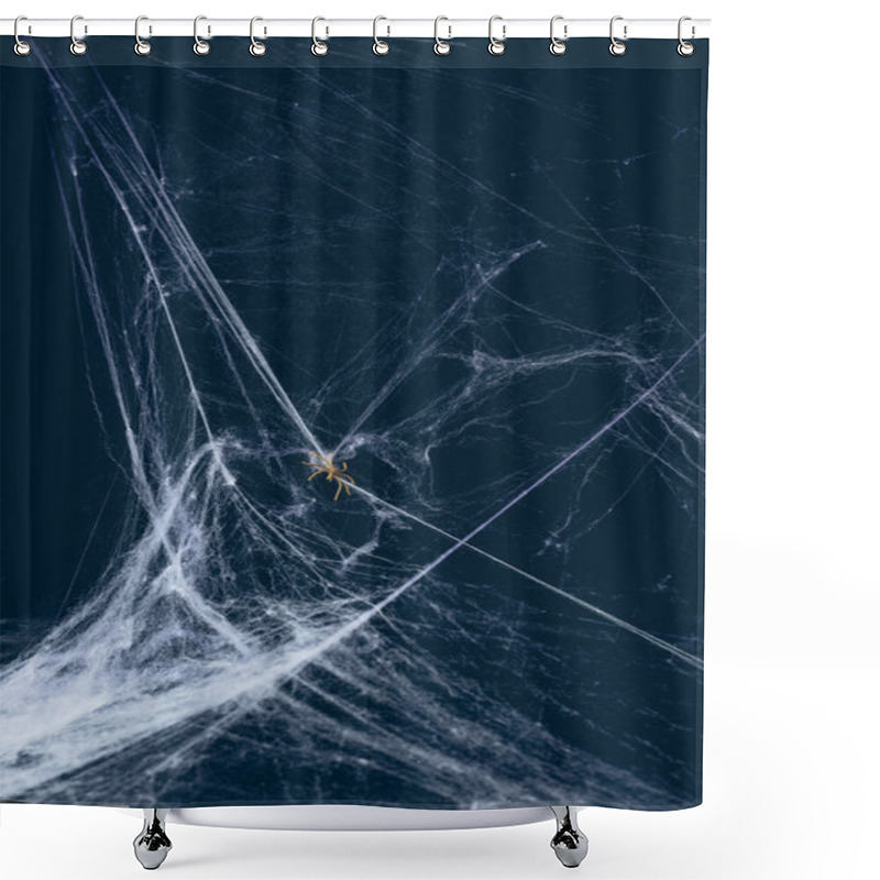 Personality  White Web And Spider In Darkness, Creepy Halloween Decor Shower Curtains