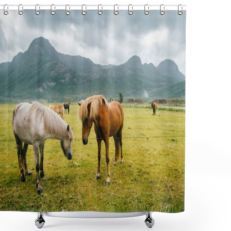 Personality  Wildlife In Norway. Scandinavian Fjord Beautiful Horses On Pasture Eat Grass On Field In Summer Rainy Weather. Cloudy Sky. Mountains On Background. Rocks. Funny Mammal Animals. Rural. Travel. Nature. Shower Curtains