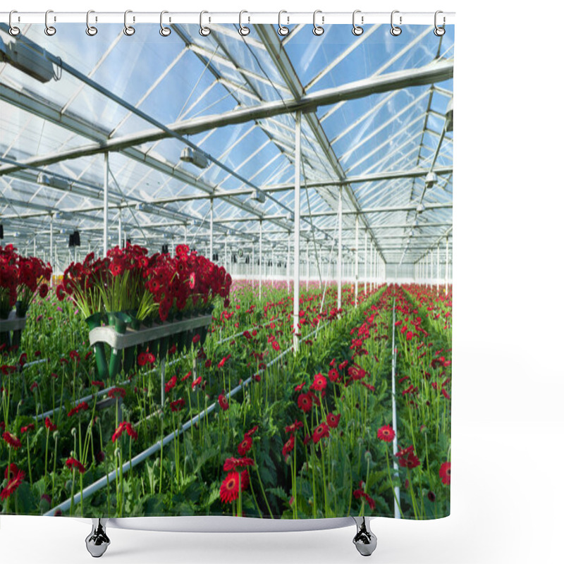 Personality  Flowers In Greenhouse Shower Curtains