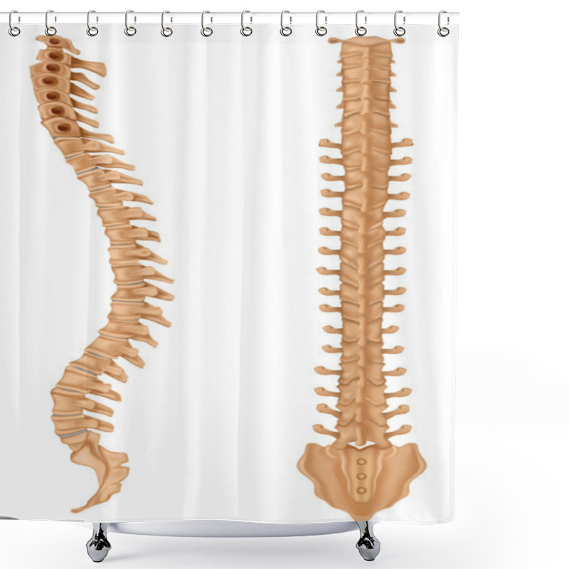 Personality  Spine Shower Curtains