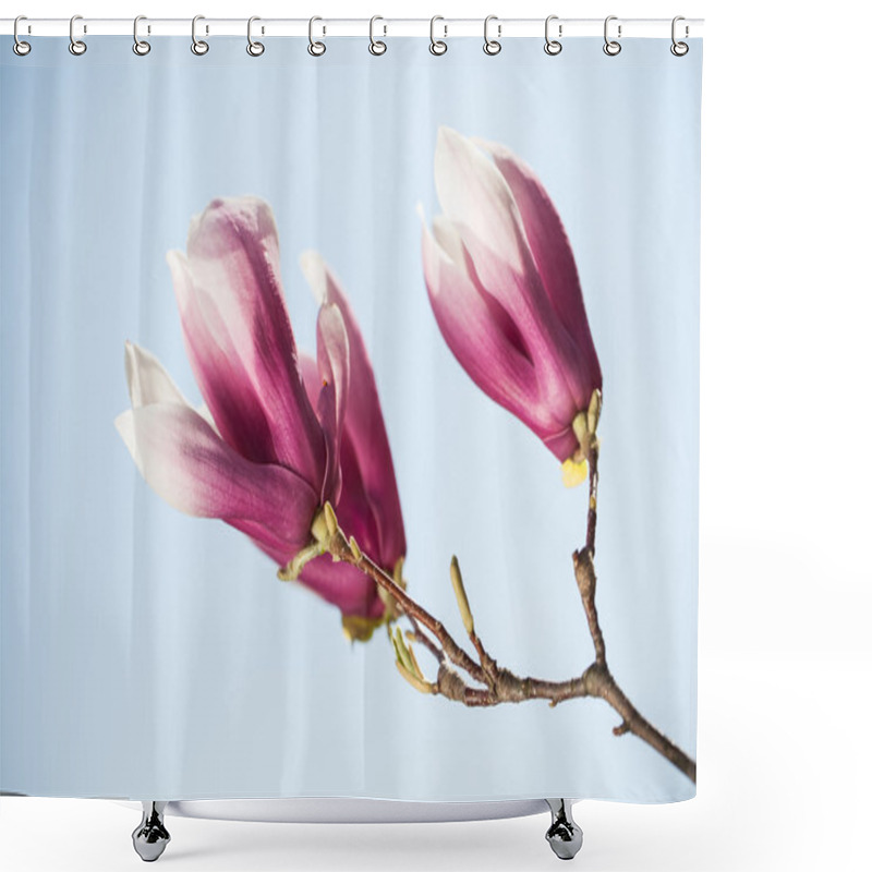 Personality  Magnolia Flowers On Blue Sky Background. Shallow DOF Shower Curtains