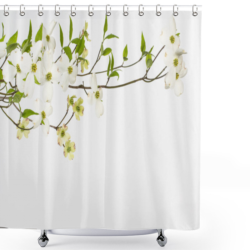 Personality  Wild Flowering White Dogwoods Shower Curtains