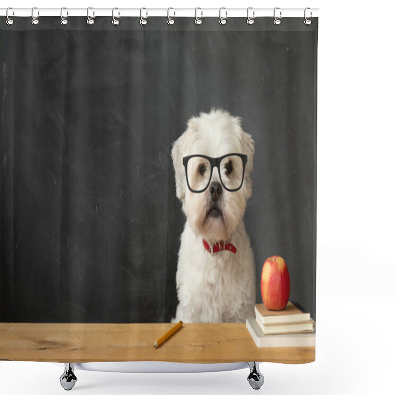 Personality  Small White Dog Sitting At A School Desk Shower Curtains