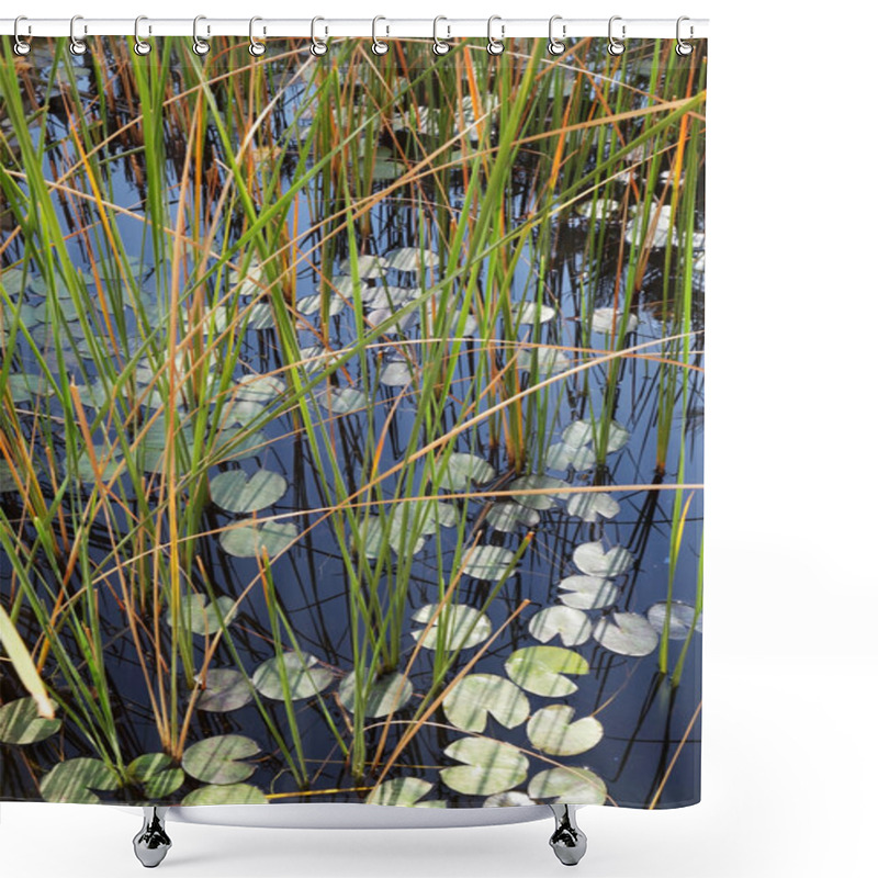 Personality  Silent Pond With The Water Lilies Shower Curtains