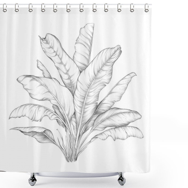 Personality  Tropical Banana Palm Leaves. Single Pencil Sketch On White Background. Hand Drawn Illustration. Shower Curtains