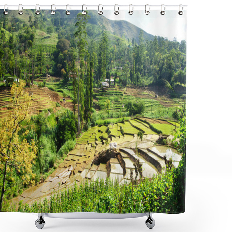 Personality  Rice Field And Farm Shower Curtains