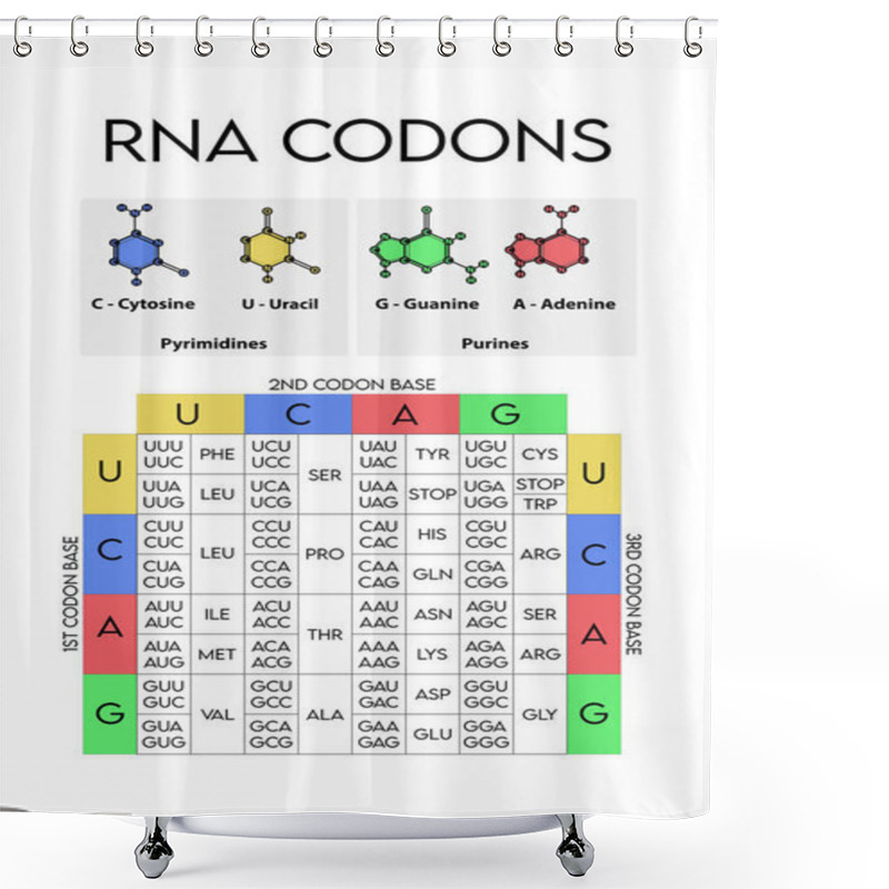 Personality  Table Of RNA Codons - Genetic Biological Code Of Amino Acids. Amino Acid Sequence Chart With Nitrogenous Base Icons - Guanine, Adenine, Cytosine, Uracil Shower Curtains