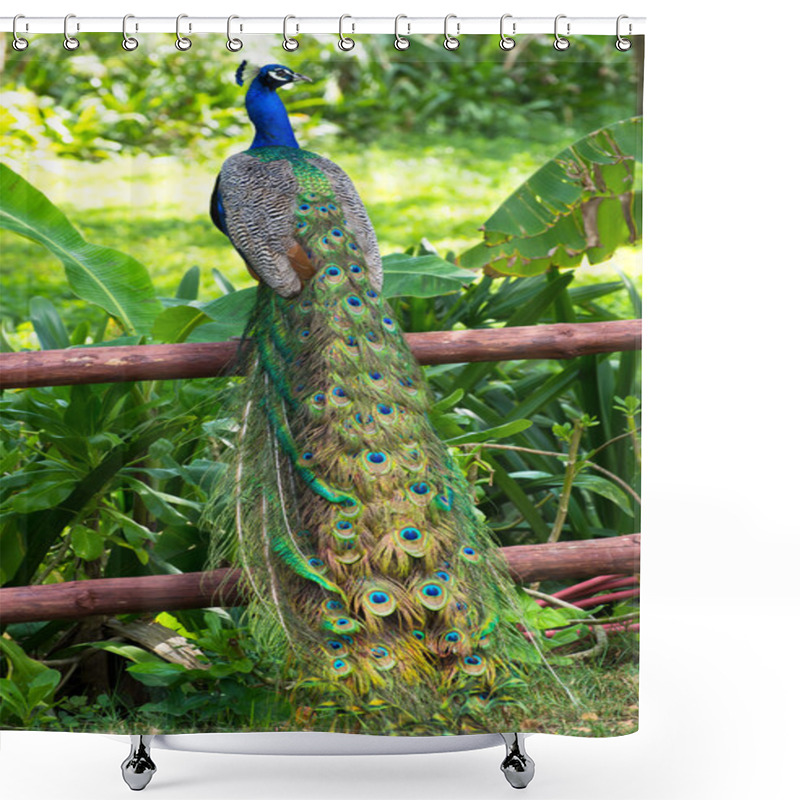 Personality  Peacock Shower Curtains