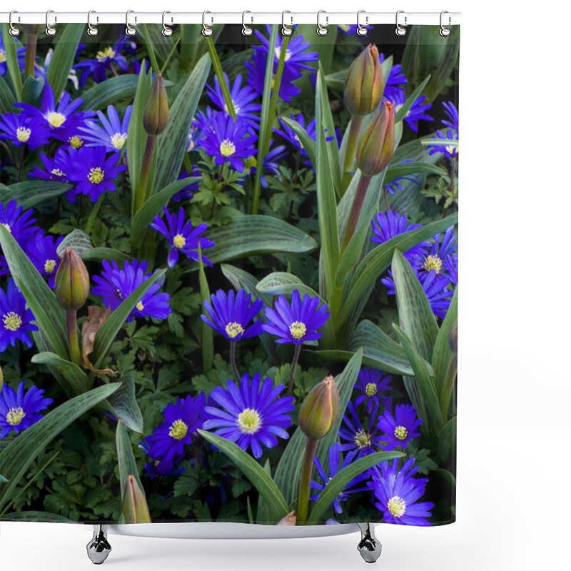 Personality  Anemone Blanda Gemengd Flowers Shower Curtains