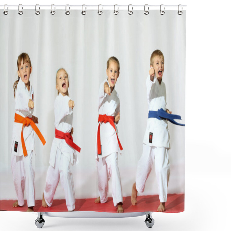 Personality  Sport Karate Shower Curtains