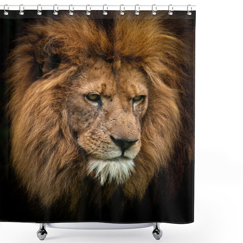 Personality  Portrait Of A King Shower Curtains