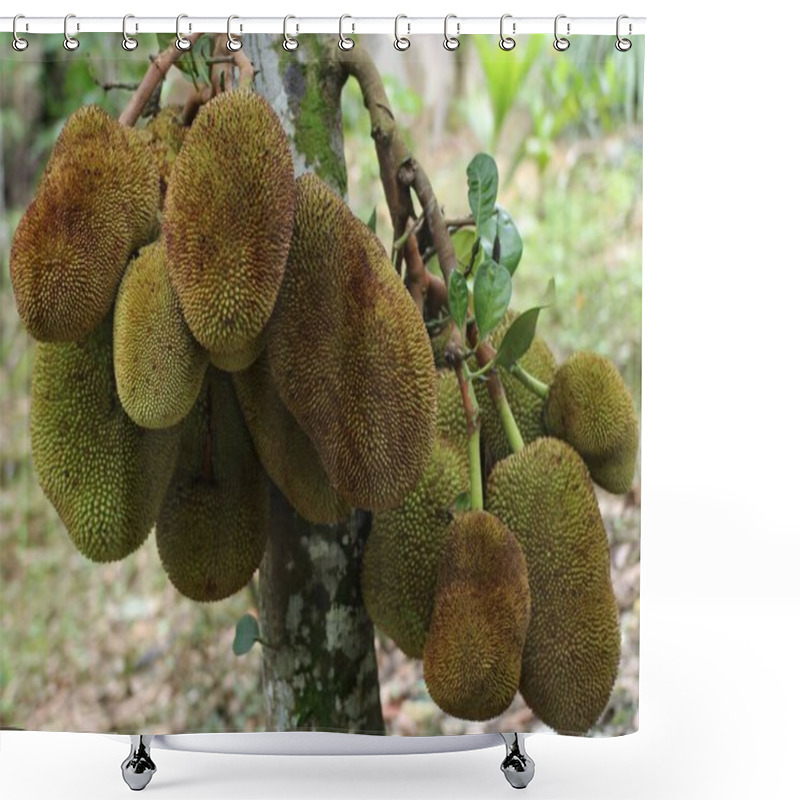 Personality  There Are Many Jackfruits On The Stem Shower Curtains