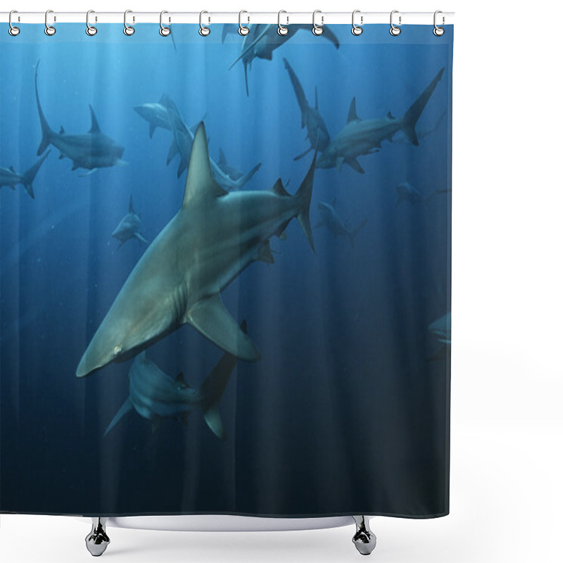 Personality  Blacktip Sharks Shower Curtains