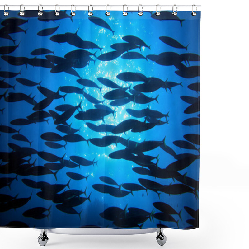 Personality  Shoal Of Fish Shower Curtains