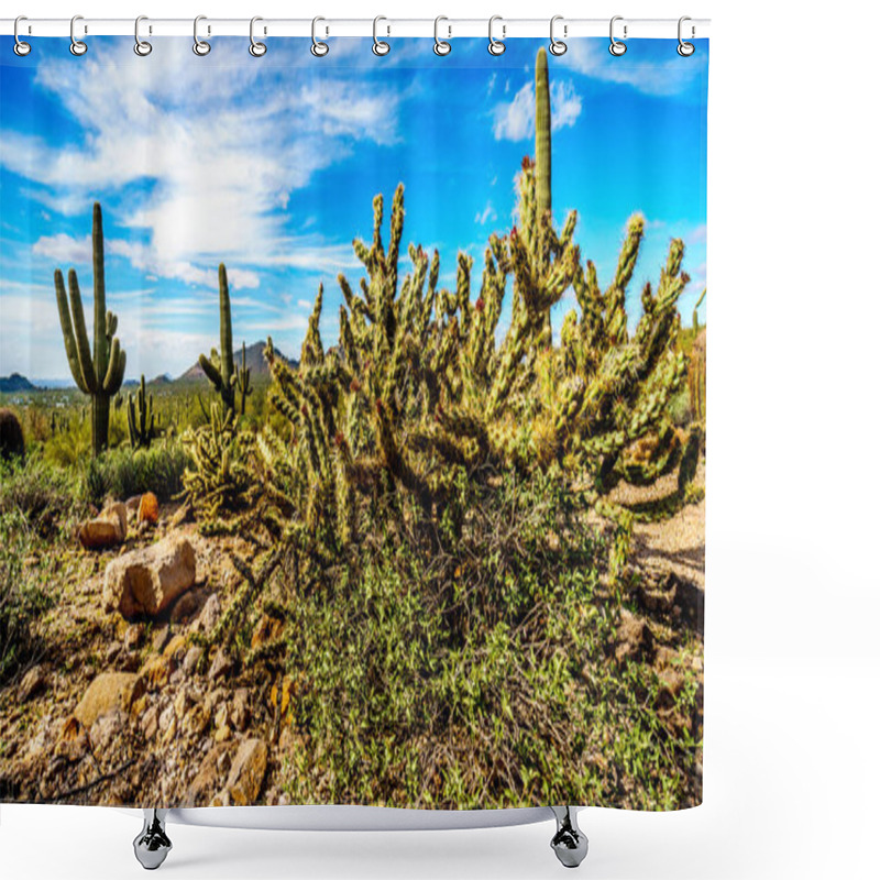 Personality  Usery Mountain Regional Park Near Phoenix Arizona  Shower Curtains