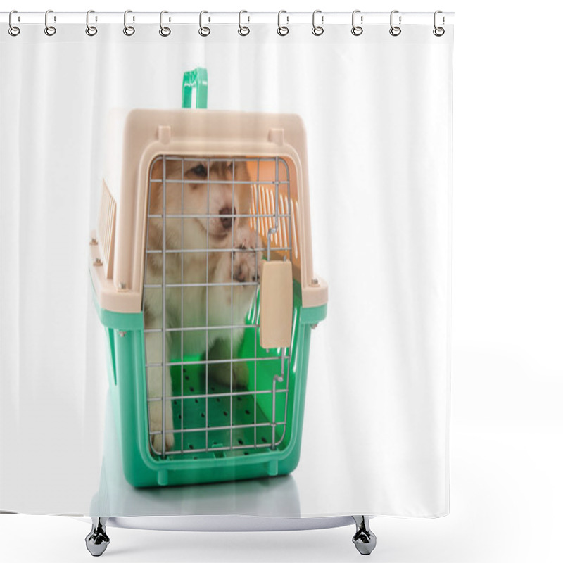 Personality  Cute Siberian Husky Puppy In Travel Box  Shower Curtains