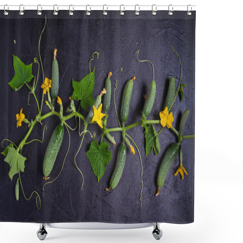 Personality  Cucumbers - Vegetables On Black Background. Summer Farm Vegetables. Food Background, Layout, Room For Text Shower Curtains