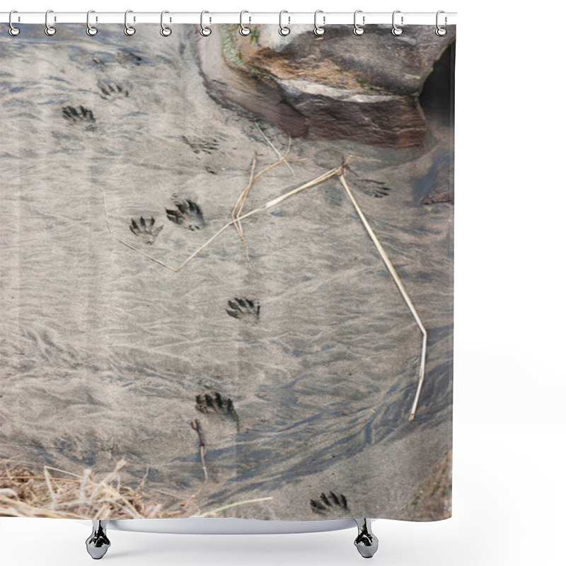 Personality  Wild Animal Tracks Beach Sand Near Ocean Waterfront Wild Place Shower Curtains