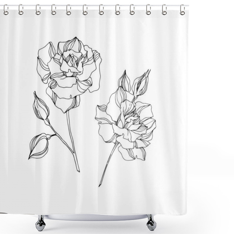 Personality  Vector Rose Floral Botanical Flowers. Black And White Engraved Ink Art. Isolated Rose Illustration Element. Shower Curtains