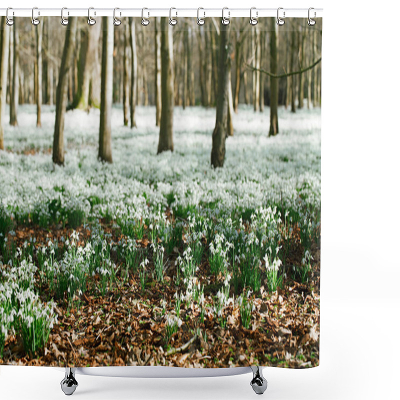 Personality  Snowdrops Flowers In Winter Forest Shower Curtains