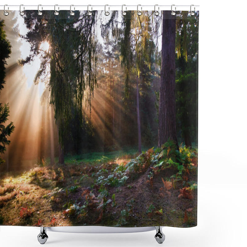 Personality  Inspirational Dawn Sun Burst Through Trees In Forest Autumn Fall Shower Curtains