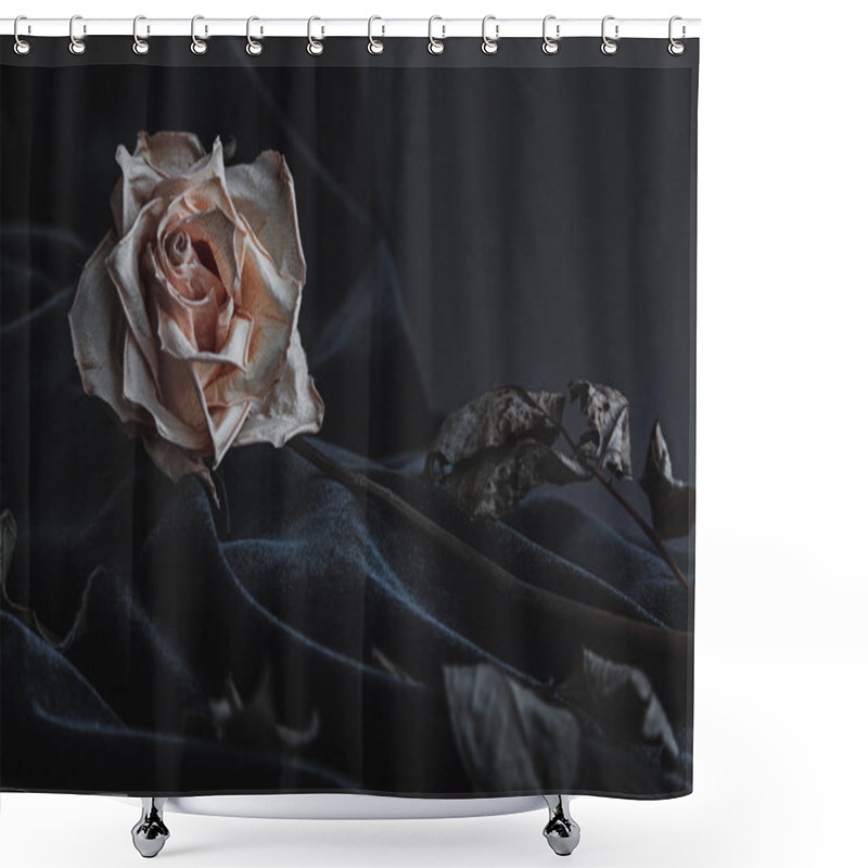 Personality  Dried White Rose On Gray Background With Dark Velvet Draping Shower Curtains