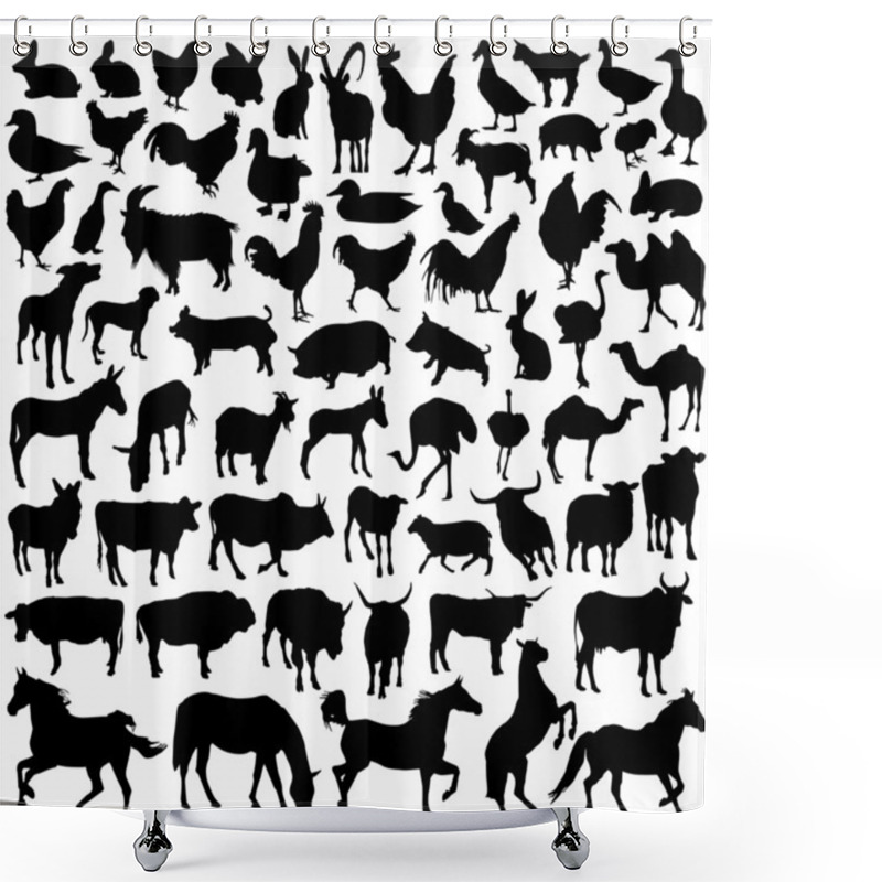 Personality  Farm Animal Vector Shower Curtains