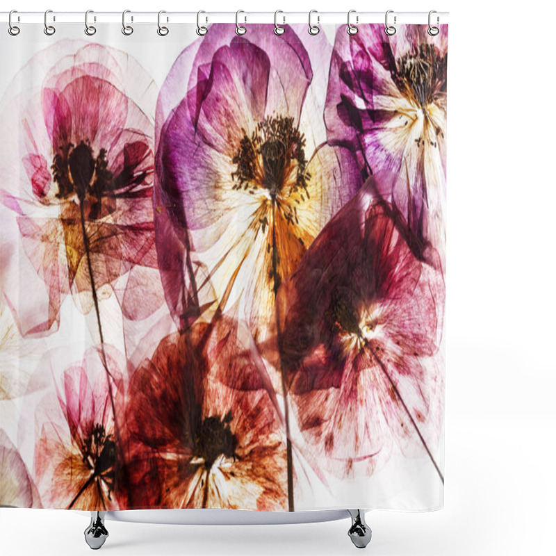 Personality  Pressed Poppy Flowers Shower Curtains